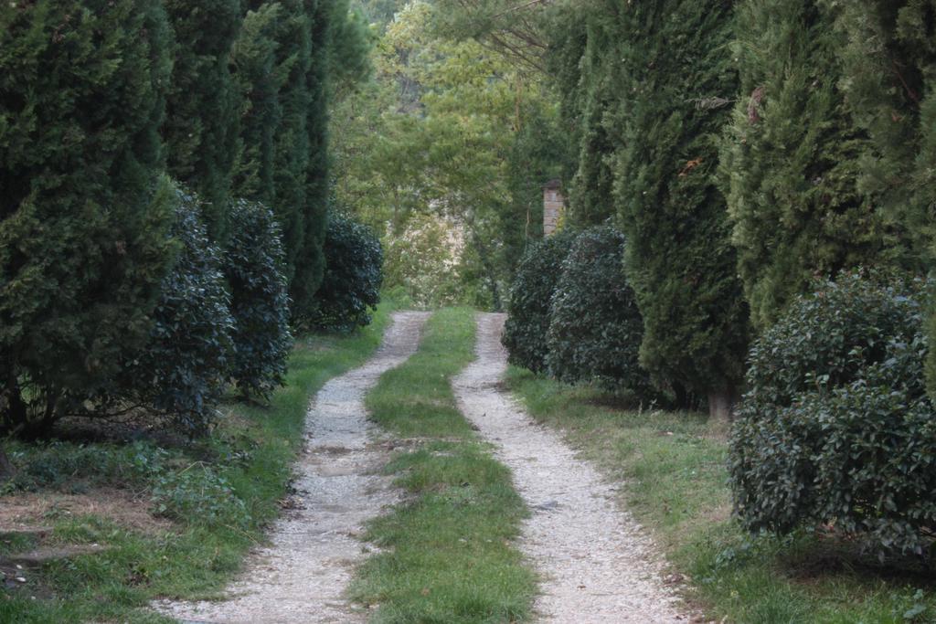 Il Molinaccio Al Rio Chiaro Villa Civitella dʼAgliano Exterior foto