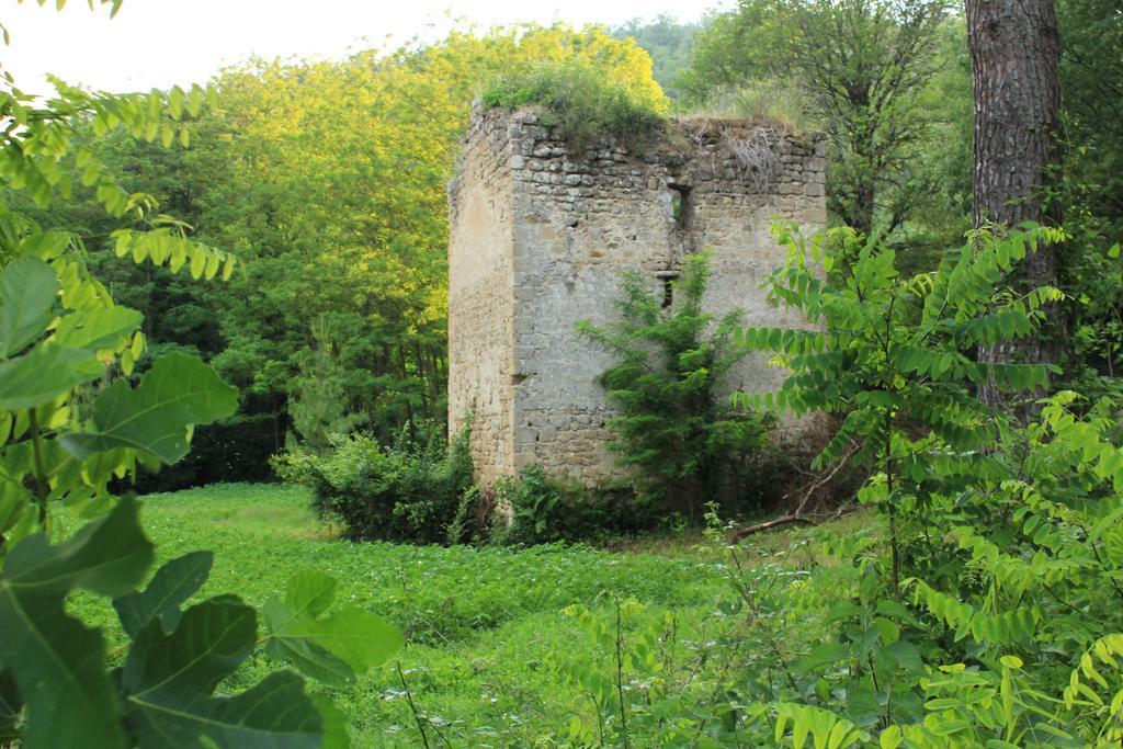 Il Molinaccio Al Rio Chiaro Villa Civitella dʼAgliano Exterior foto