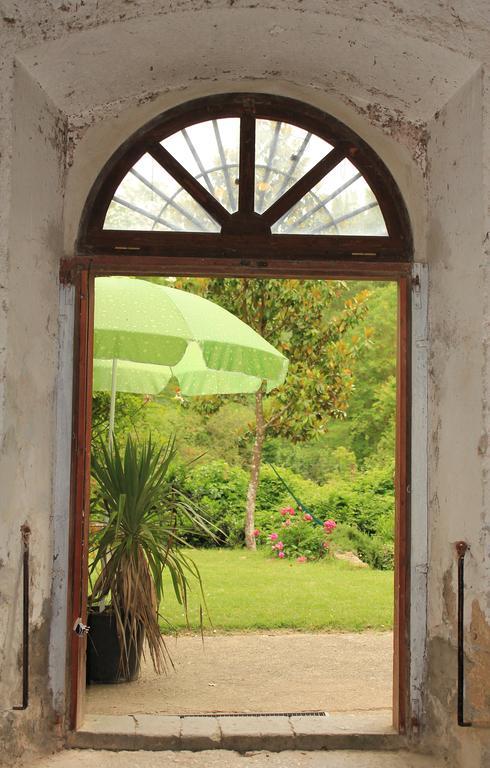 Il Molinaccio Al Rio Chiaro Villa Civitella dʼAgliano Exterior foto